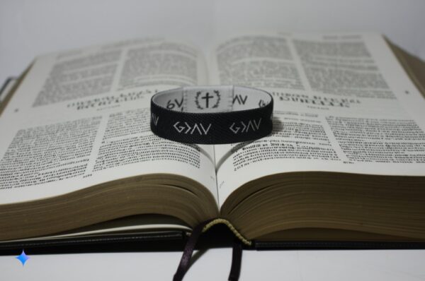 Tota la Biblia al canell